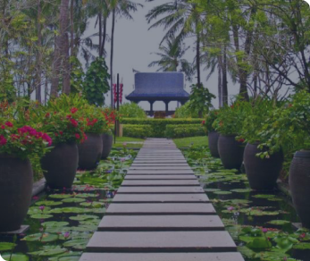 Irrigation and maintenance services in Beverly Hills for expert landscape maintenance