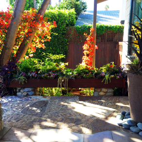 Custom garden design and landscaping services in Beverly Hills and West LA